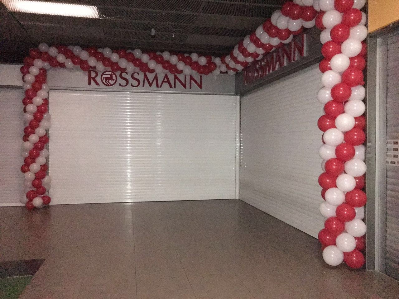 Organizasyon çalışması